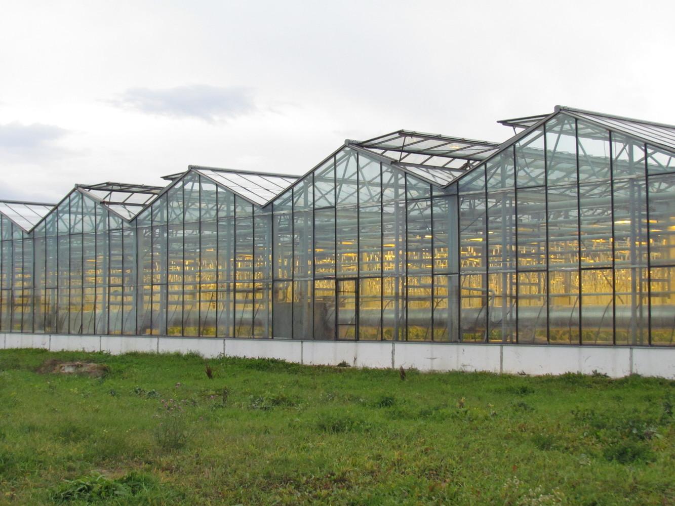 Теплица, мкр Асар: 1 200 000 тг. - Сад / огород Шымкент на Olx