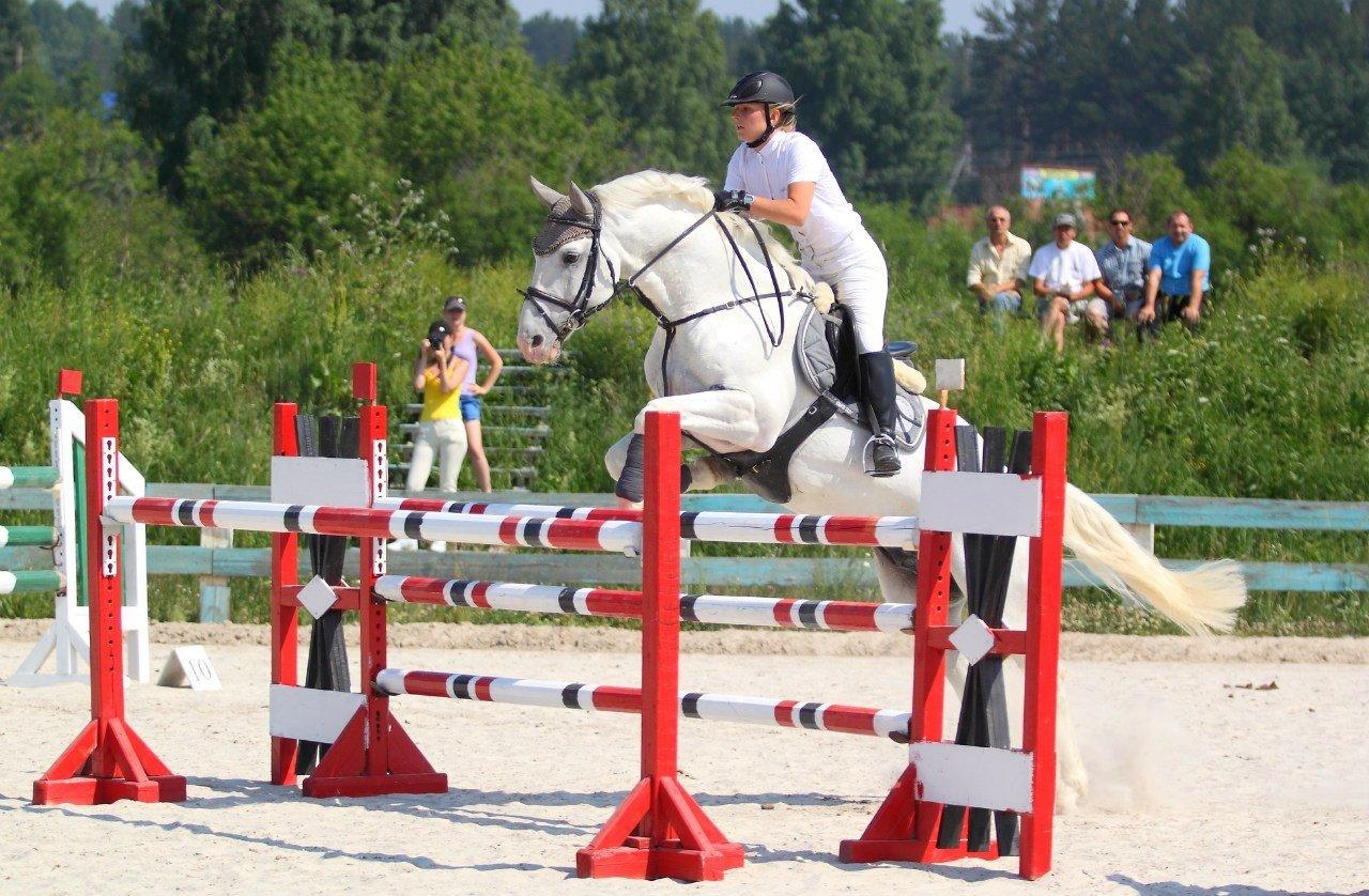 Конный спорт любительское фото кемерово Конный спорт любительское фото кемерово